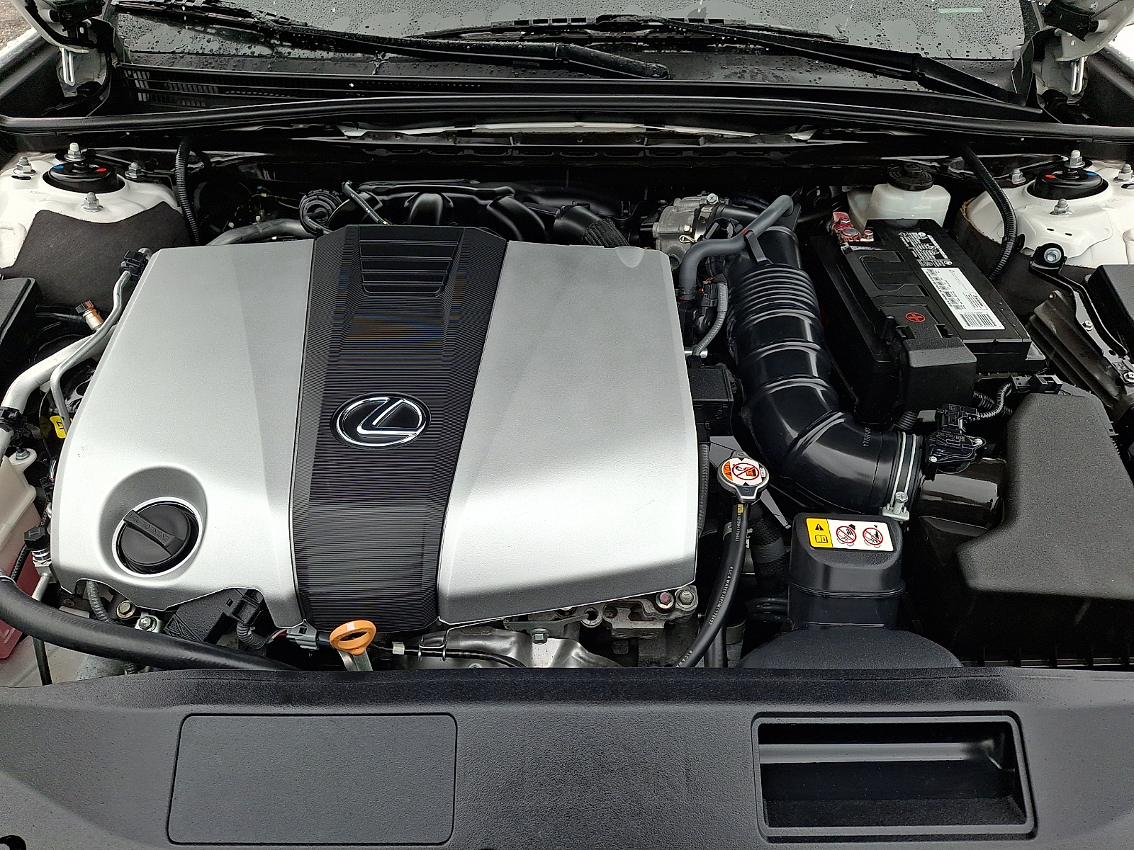 Used 2019 Lexus ES Sedan