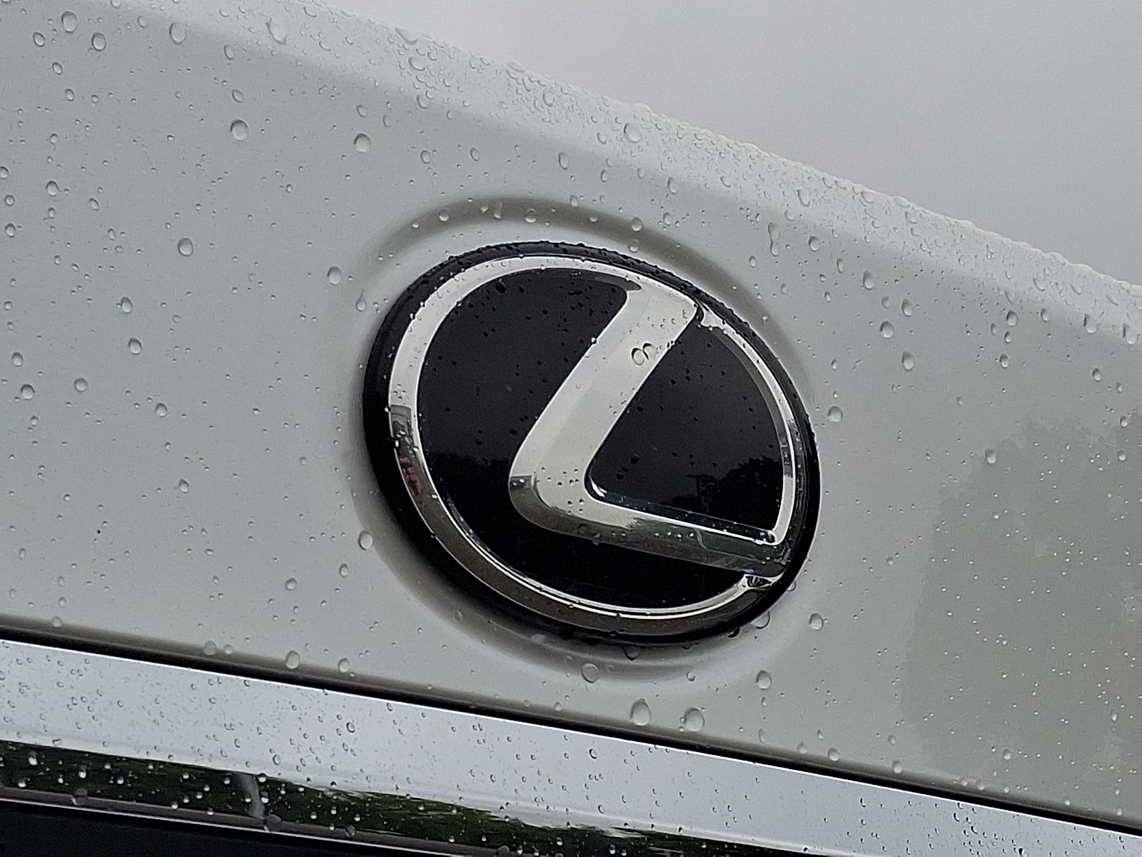 Used 2019 Lexus ES Sedan