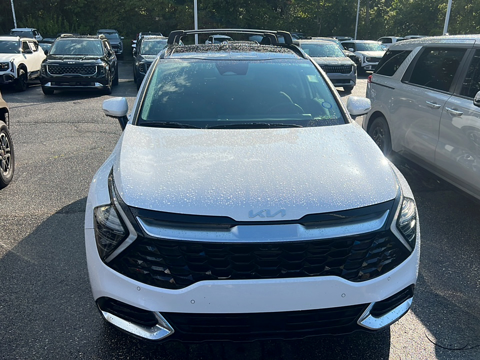 Used 2025 Kia Sportage SUV