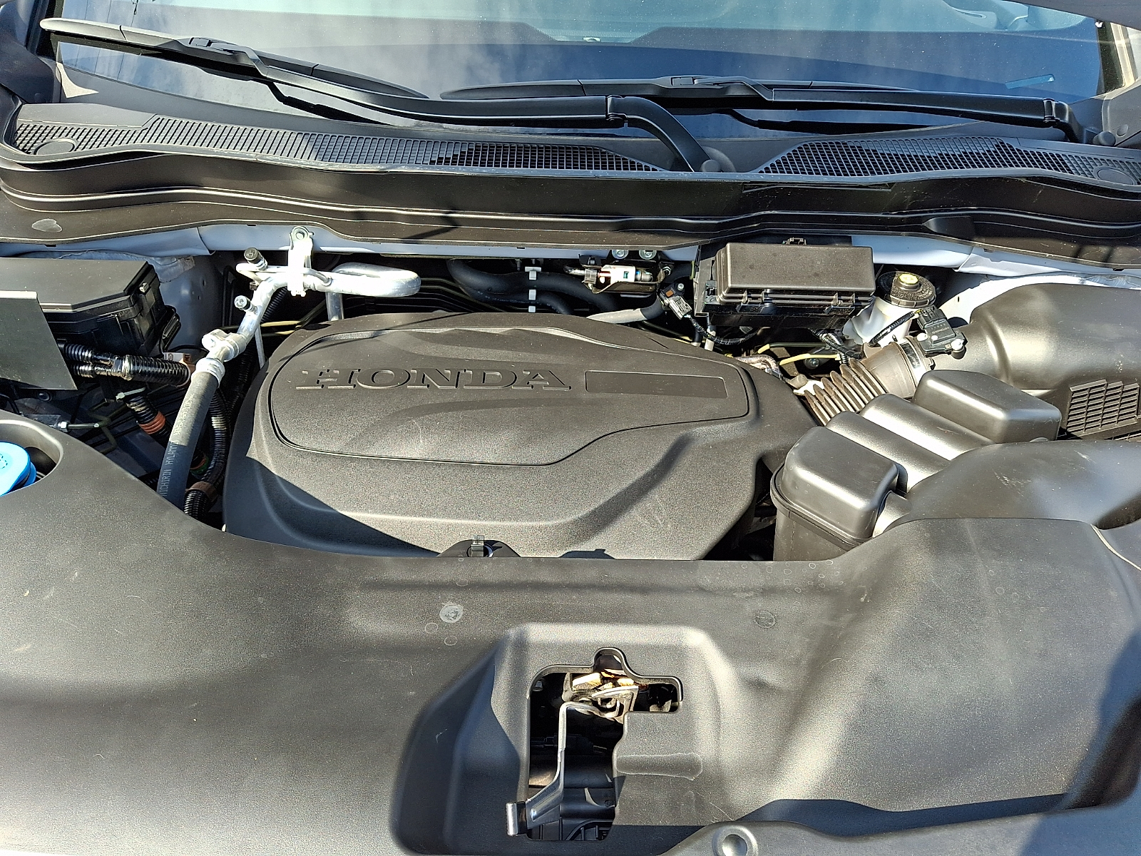Used 2022 Honda Passport SUV