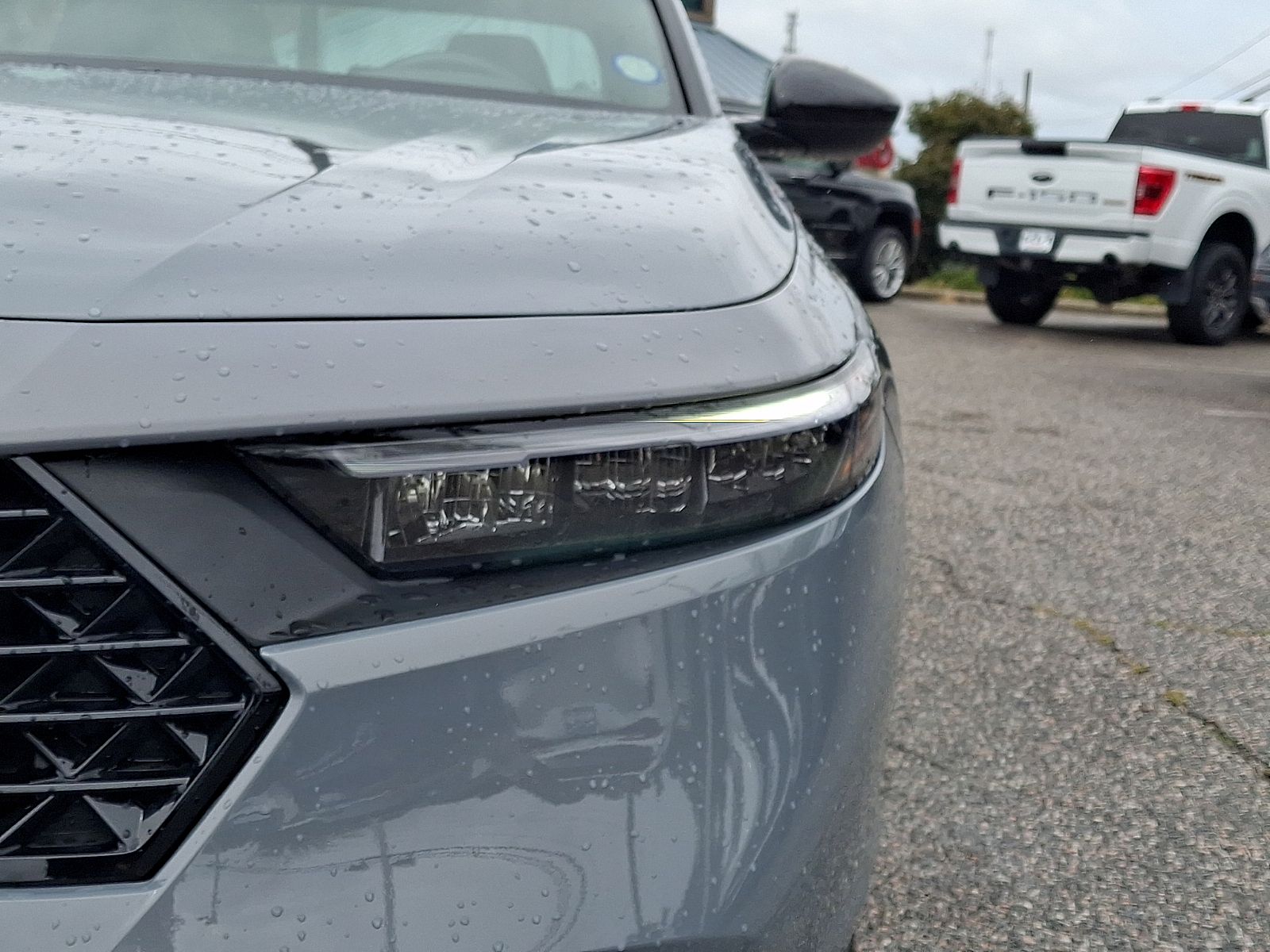 Used 2025 Honda Accord Hybrid Sedan