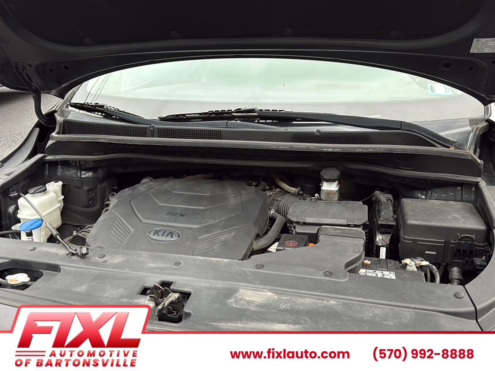 Used 2021 Kia Sedona Sedan