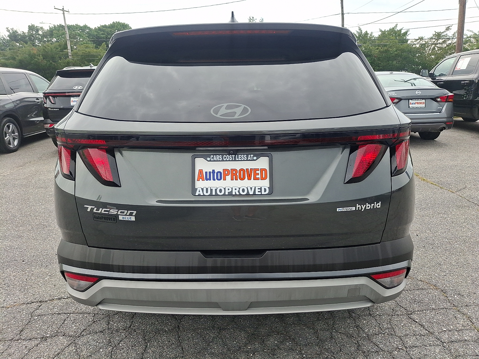 Used 2025 Hyundai Tucson Hybrid SUV