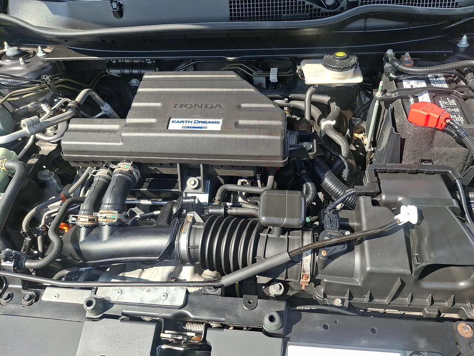 Used 2019 Honda CR-V SUV