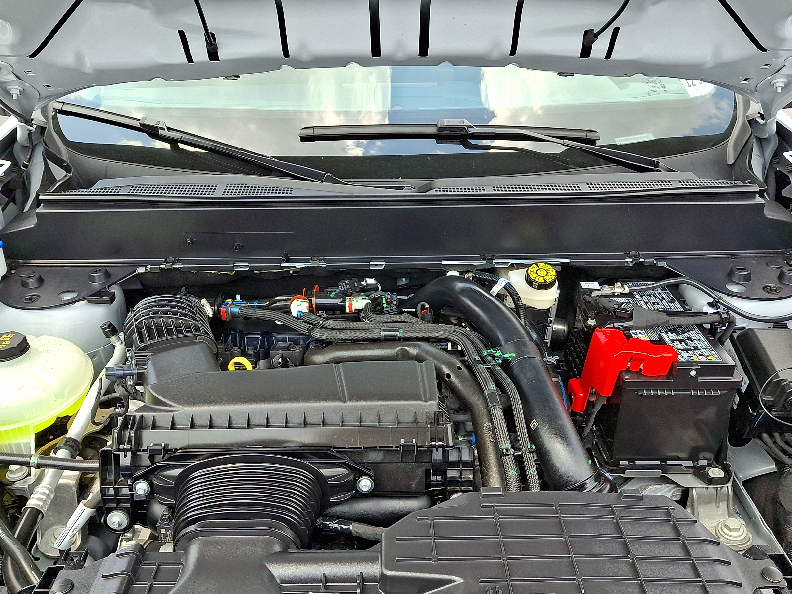 Used 2025 Ford Maverick Truck