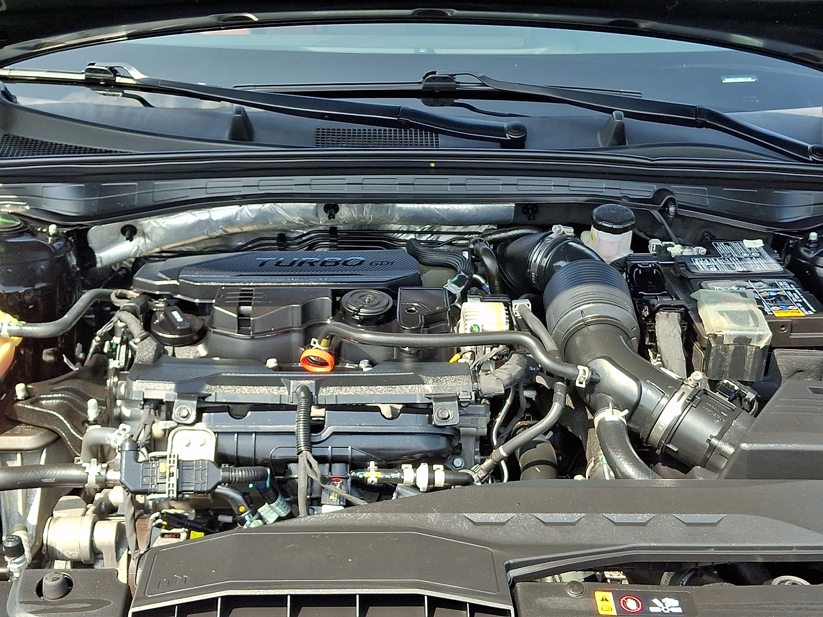 Used 2024 Kia K5 Sedan