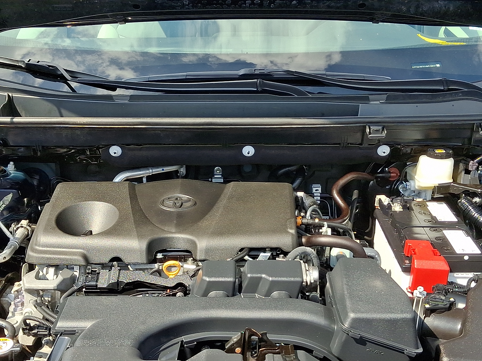Used 2025 Toyota RAV4 SUV