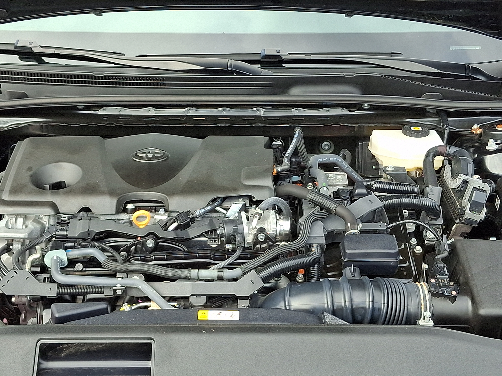 Used 2025 Toyota Camry Sedan