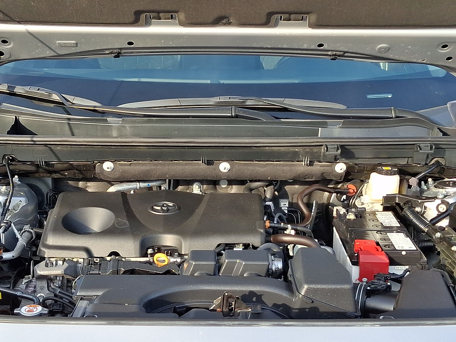 Used 2025 Toyota RAV4 SUV