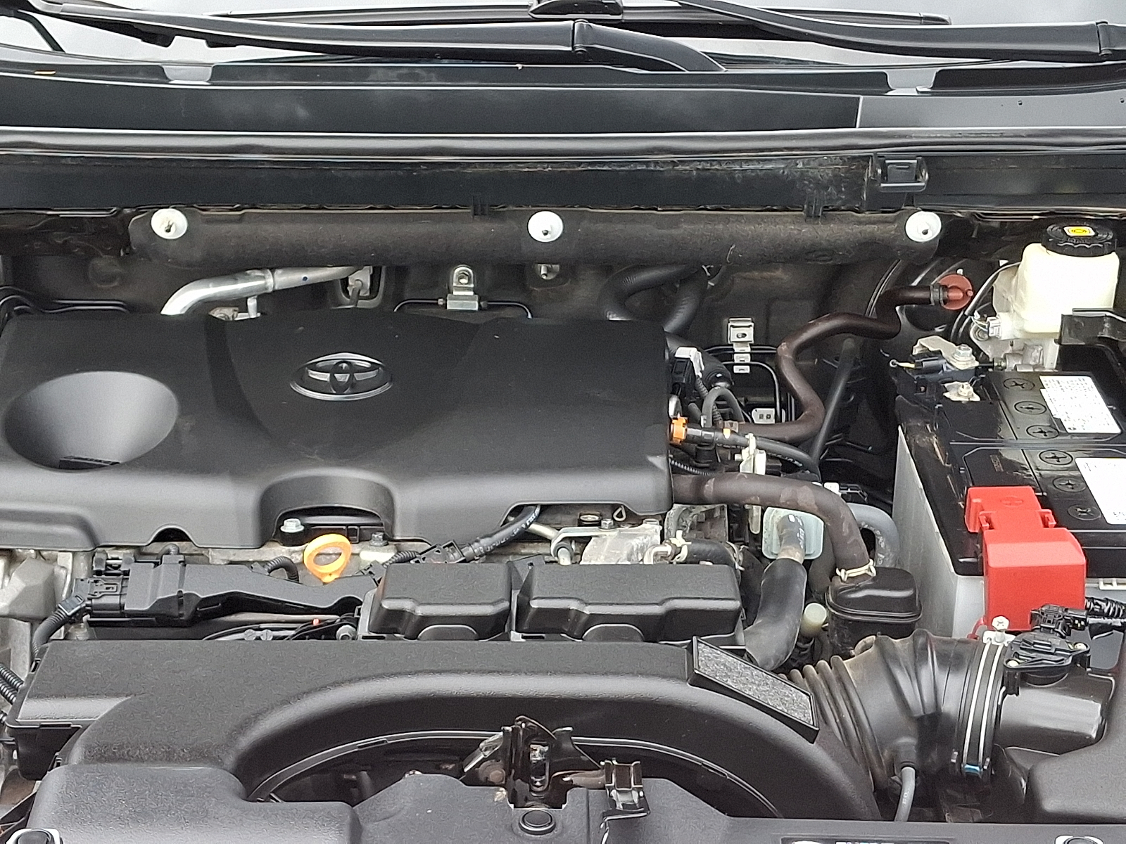 Used 2021 Toyota RAV4 SUV