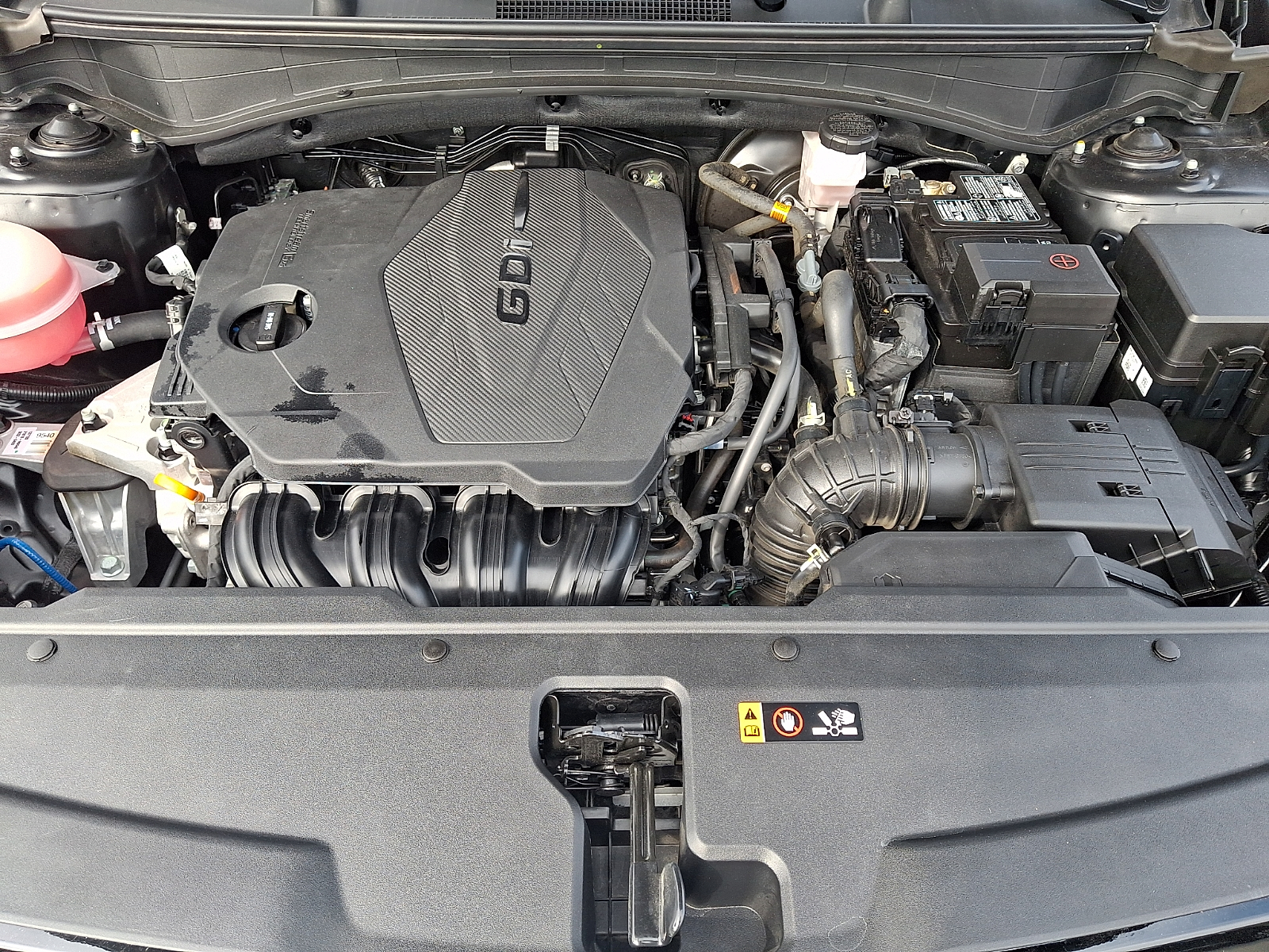 Used 2024 Kia Sportage SUV