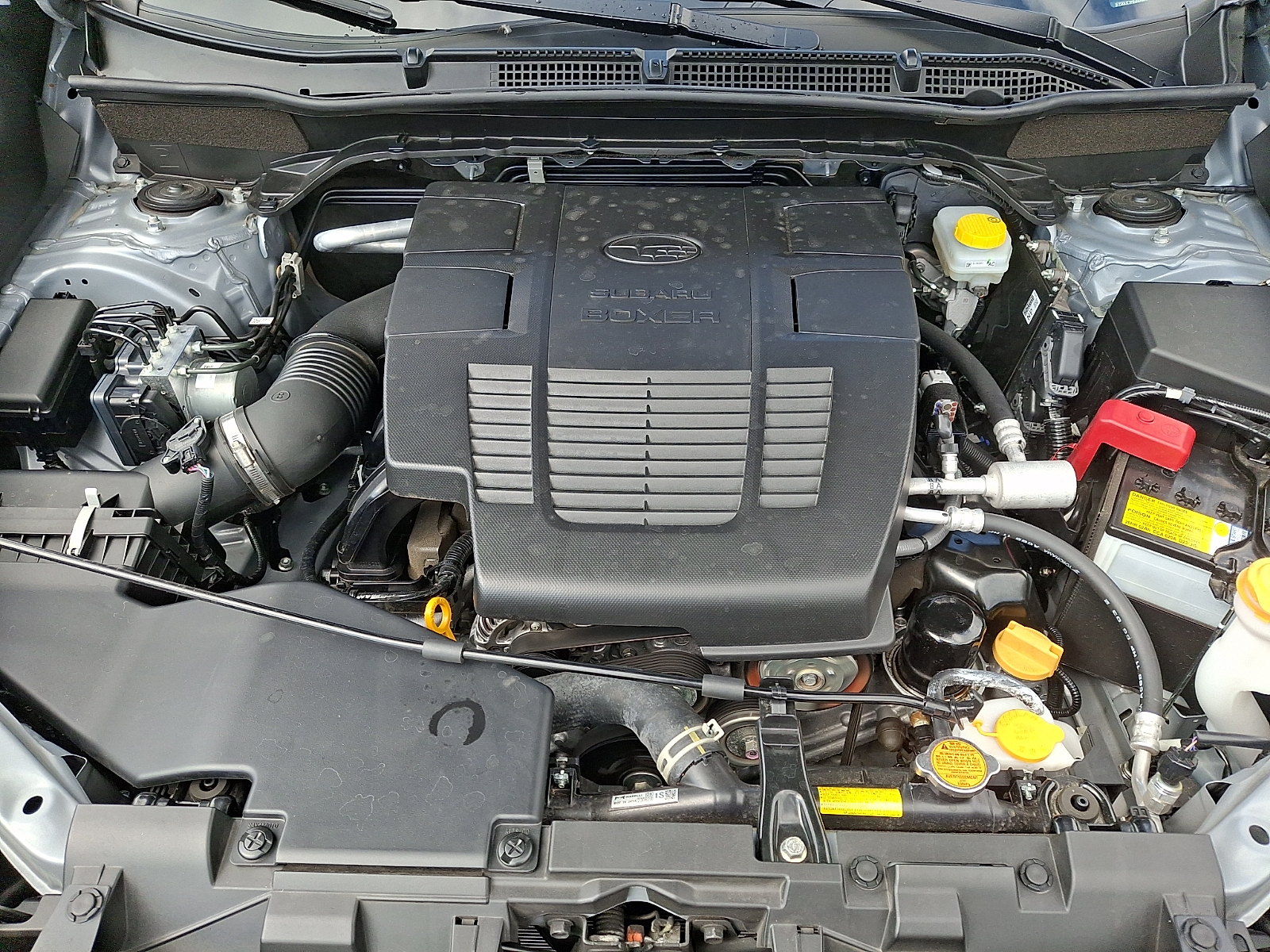 Used 2023 Subaru Forester SUV