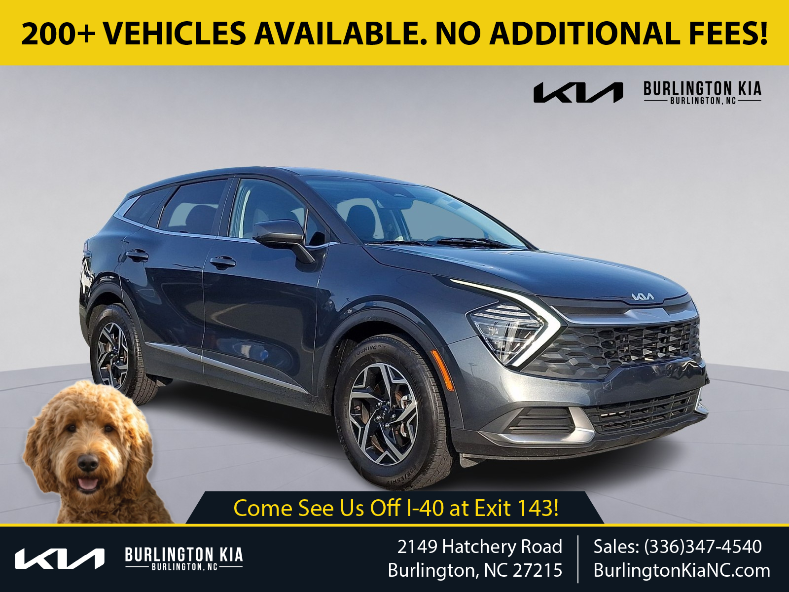 2024 Kia Sportage