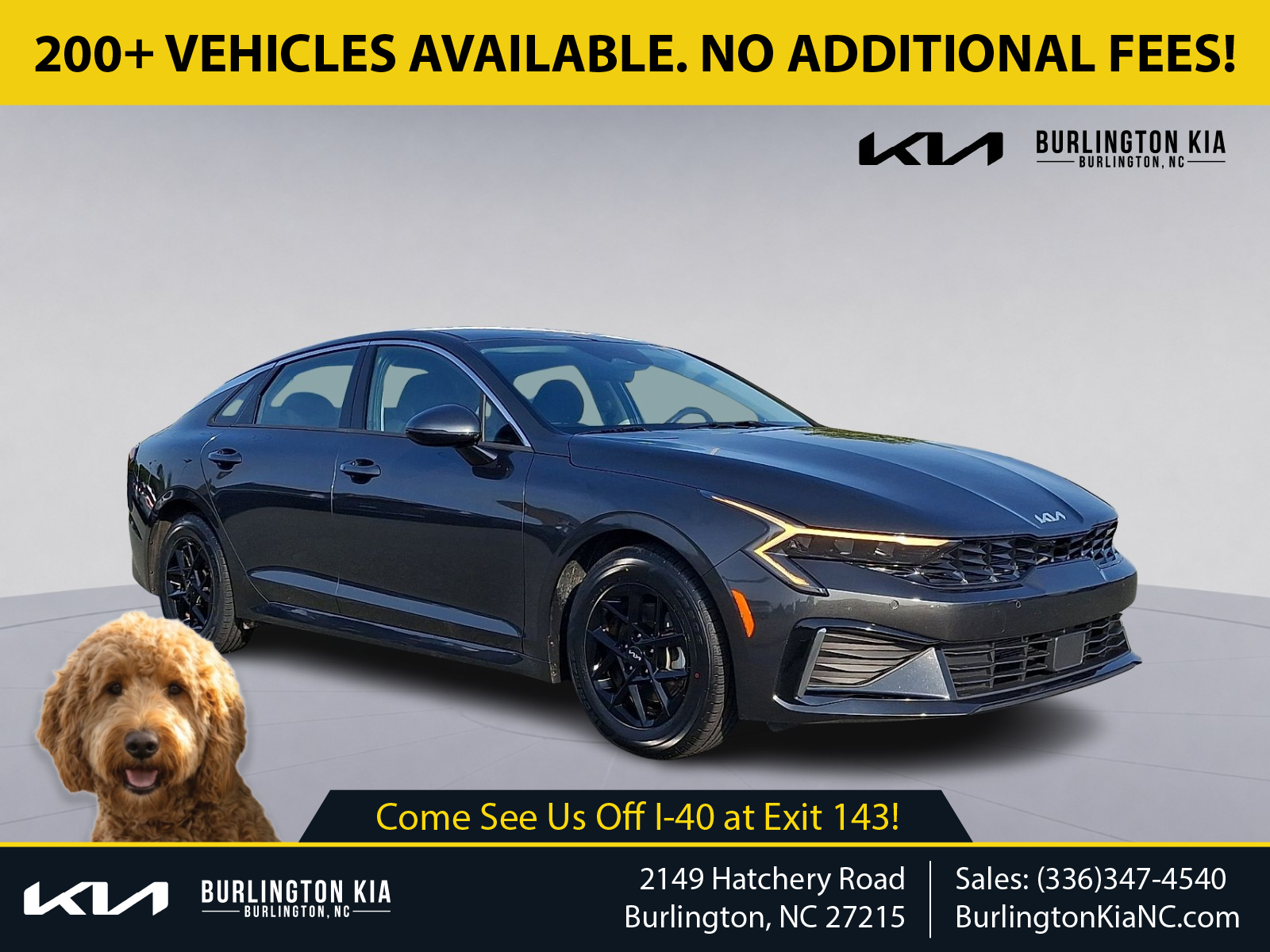 2025 Kia K5