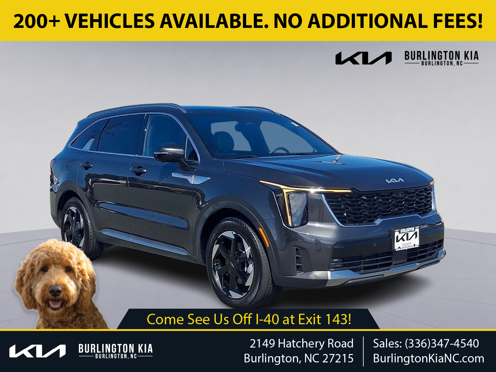 Interstellar Gray - AGT 2025 Kia Sorento Hybrid SUV / Crossover All-Wheel Drive Automatic