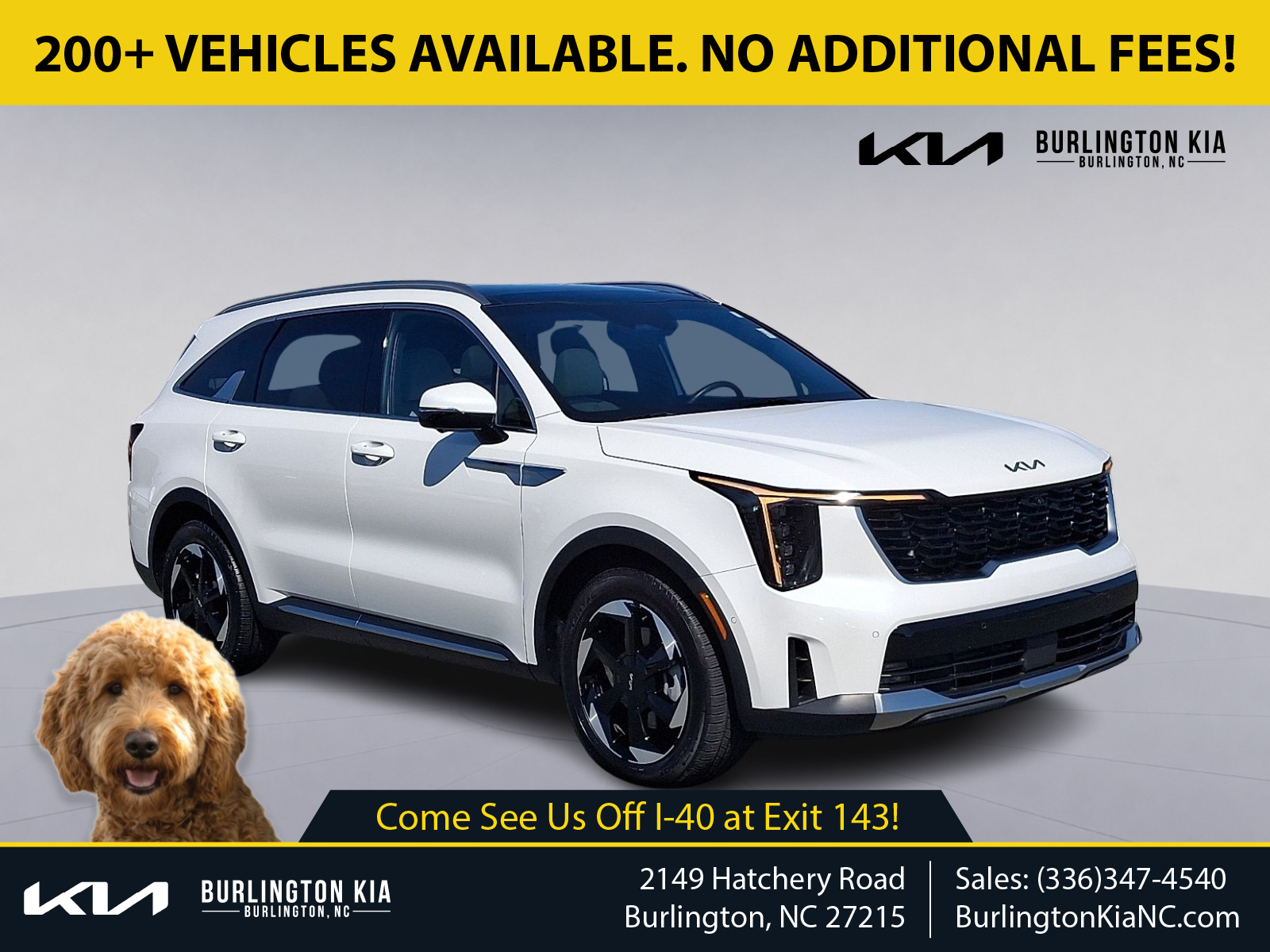 Snow White Pearl - SWP 2025 Kia Sorento Hybrid SUV / Crossover All-Wheel Drive Automatic