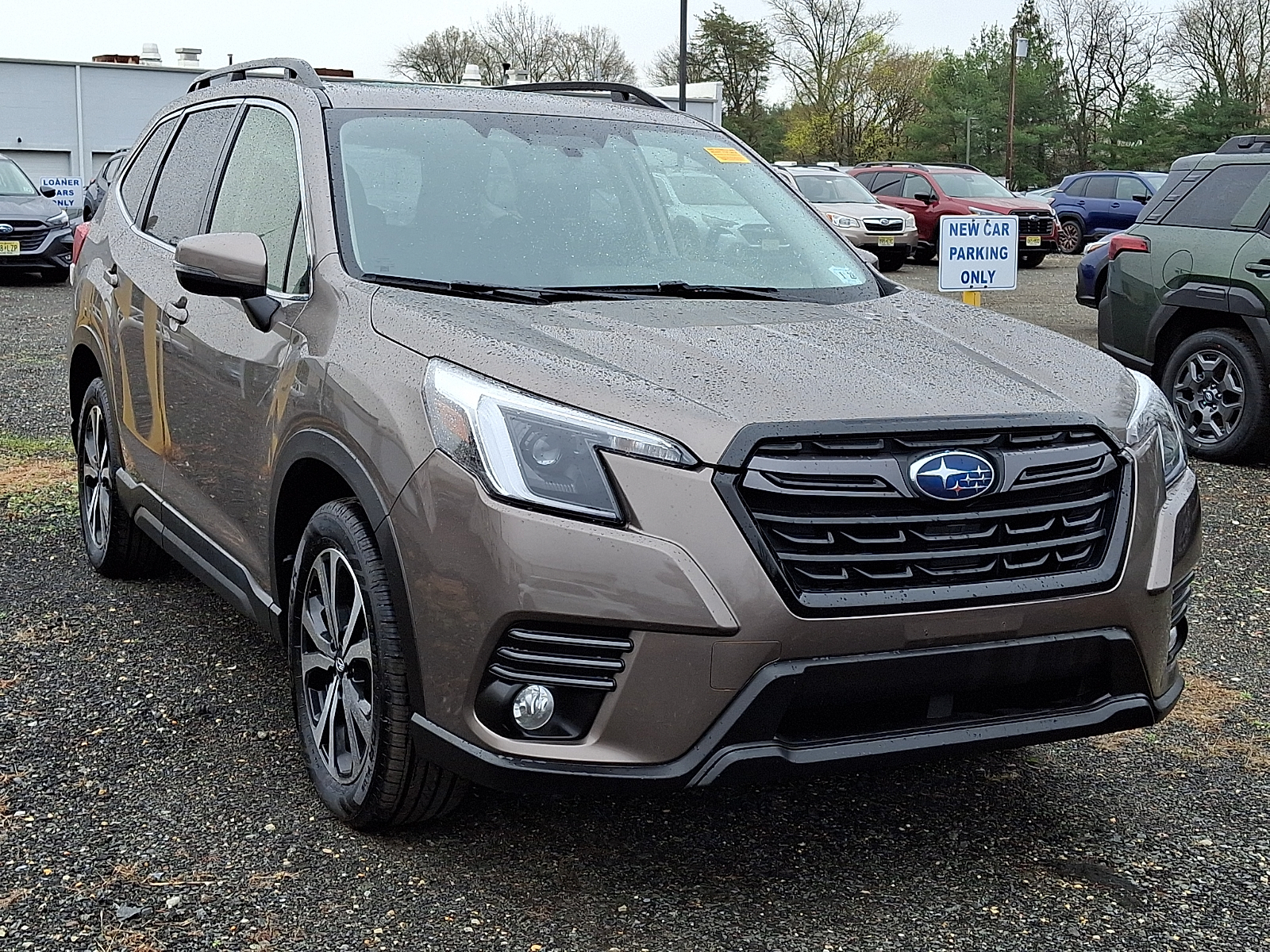 Bronze Metallic 2023 Subaru Forester Limited Crossover AWD SUV / Crossover All-Wheel Drive Automatic