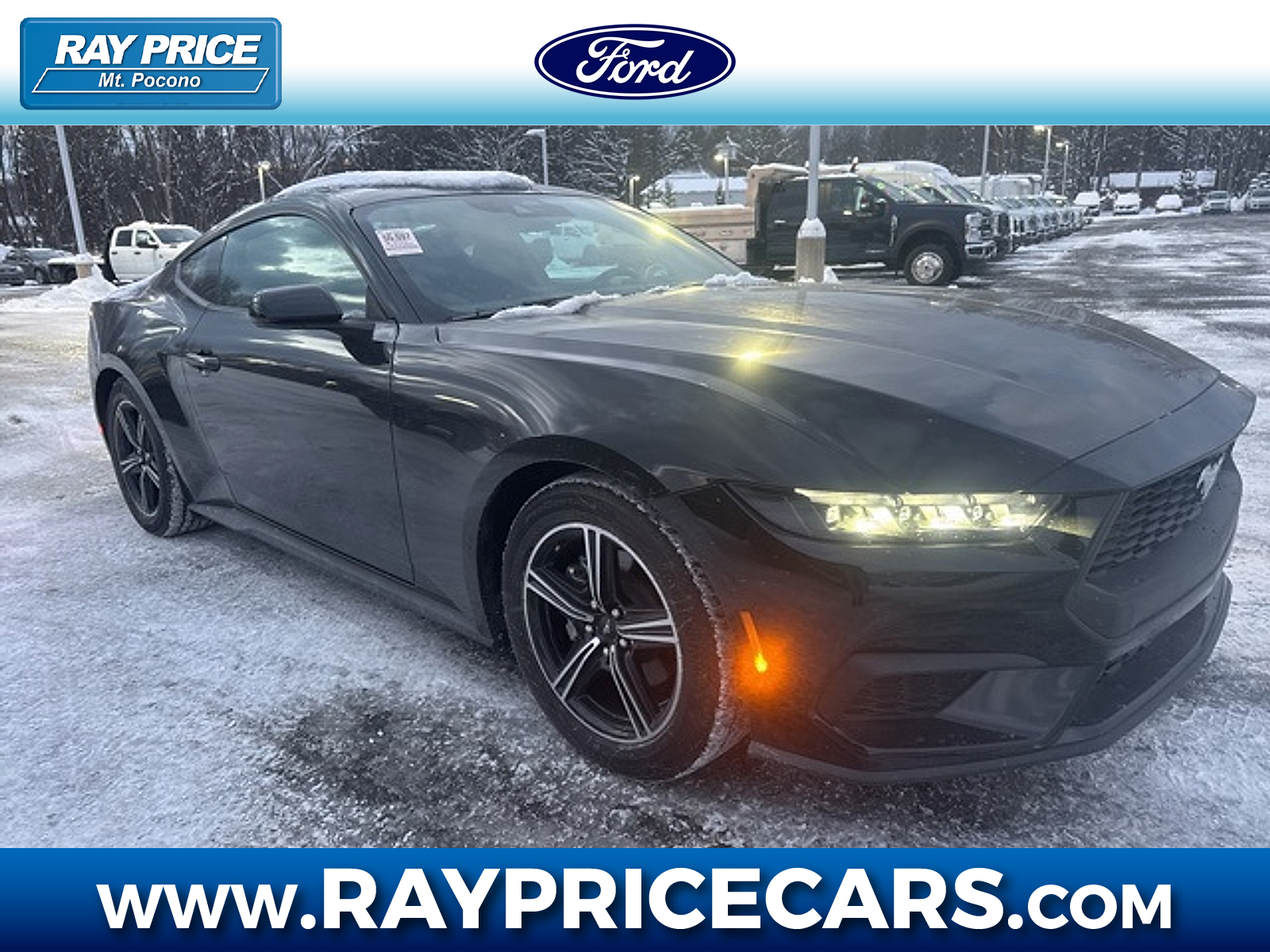 2025 Ford Mustang EcoBoost Fastback RWD