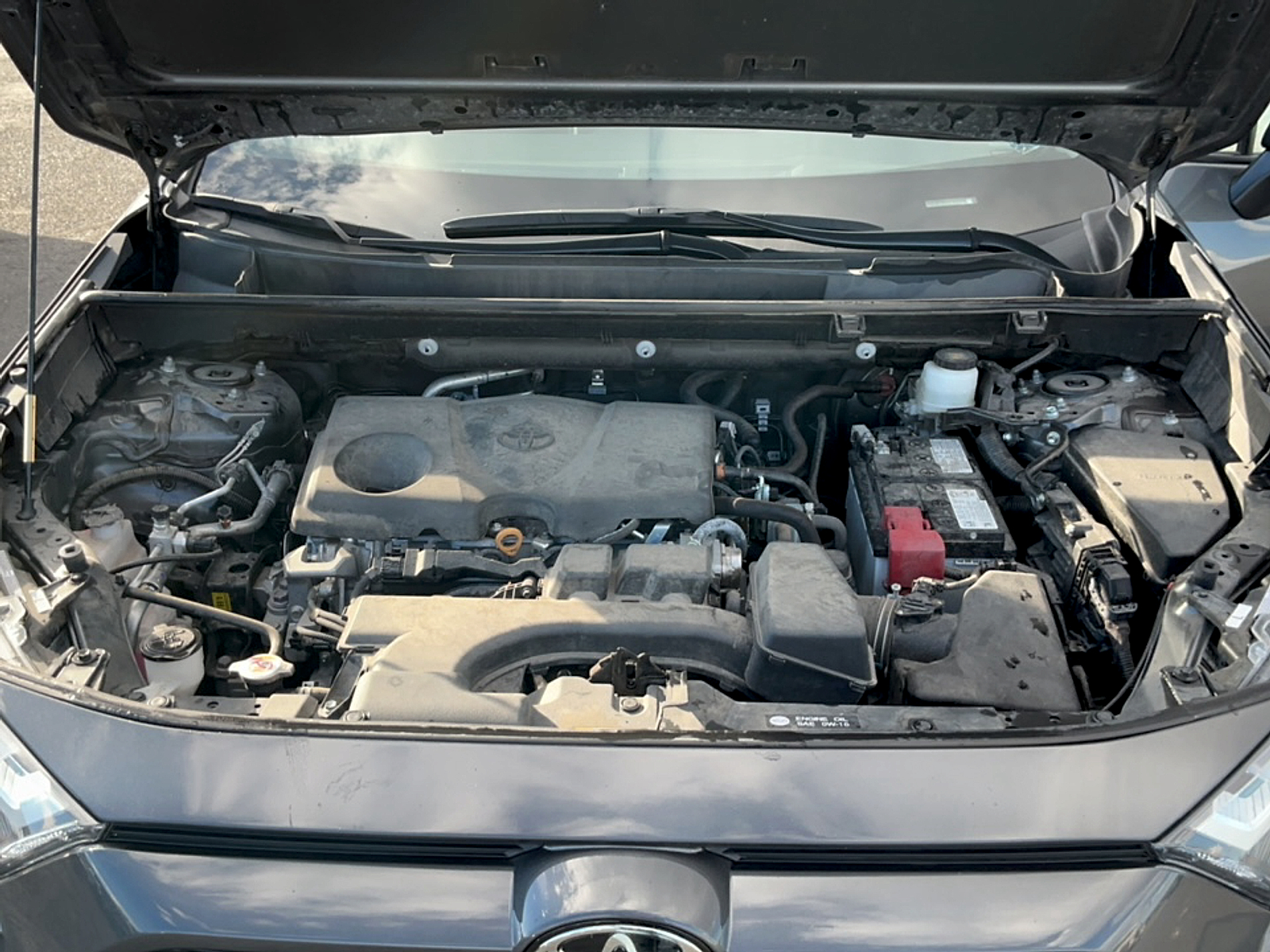 Used 2025 Toyota RAV4 SUV