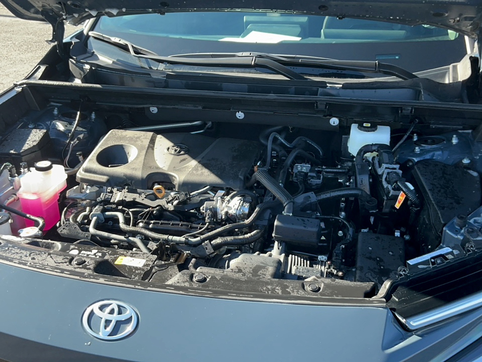 Used 2026 Toyota RAV4 SUV