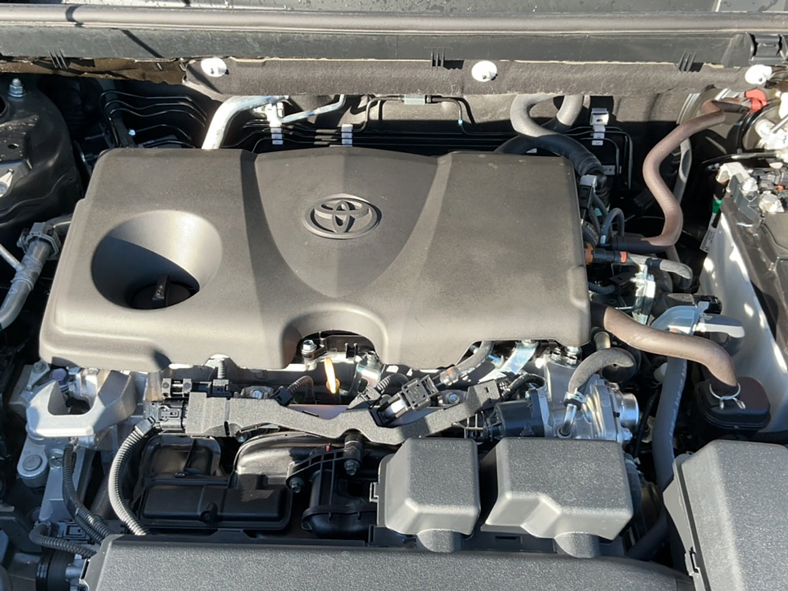 Used 2025 Toyota RAV4 SUV