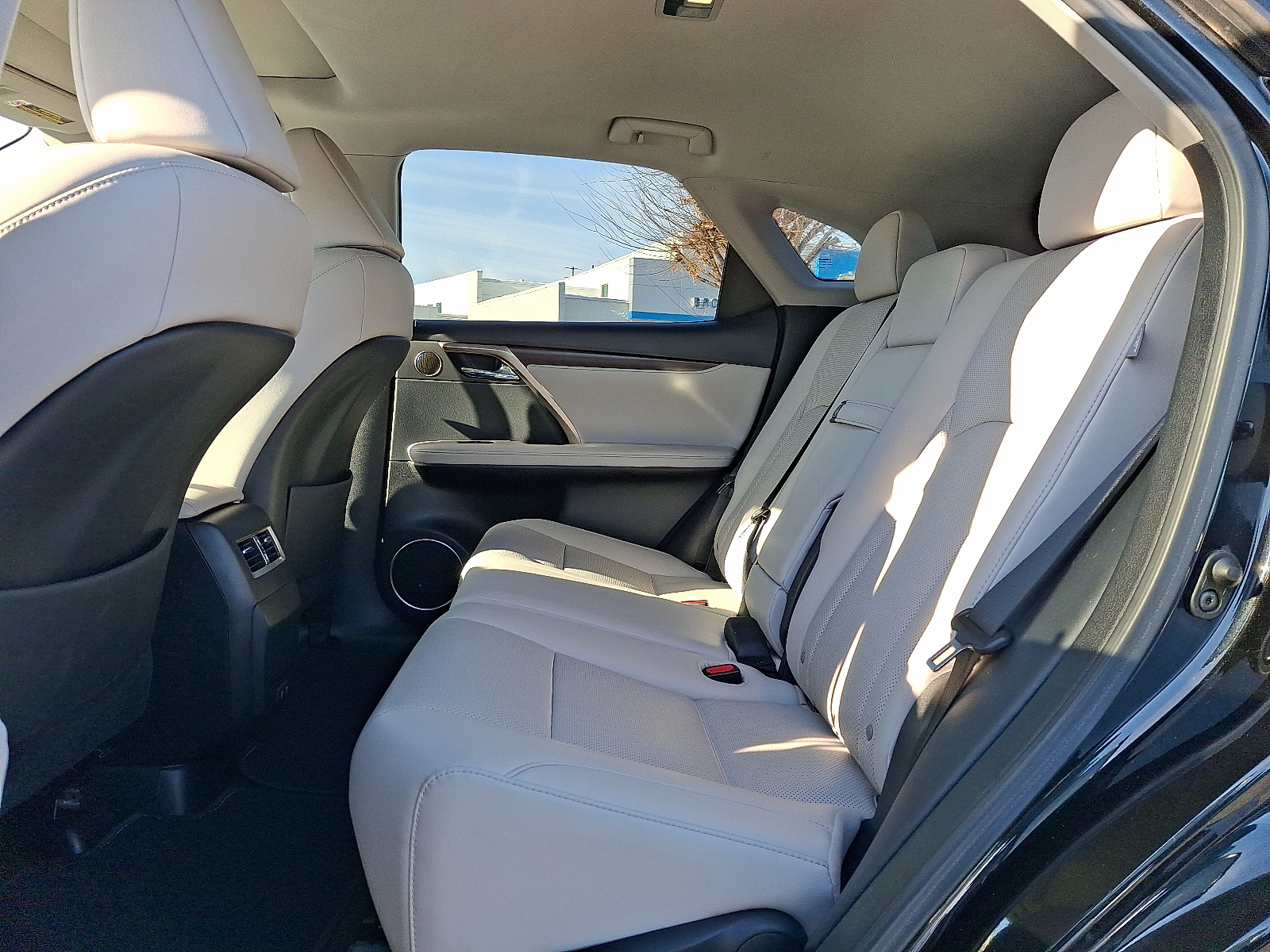 2020 Lexus RX 350 - Caviar - 223 exterior view 16