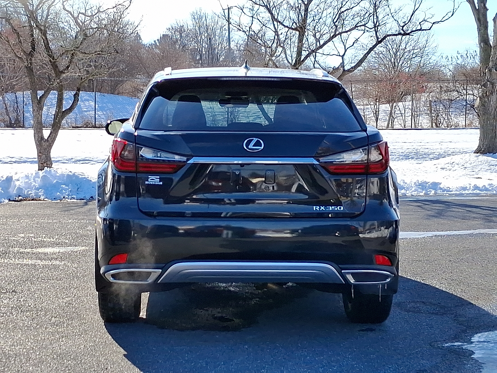 2020 Lexus RX 350 - Caviar - 223 exterior view 10