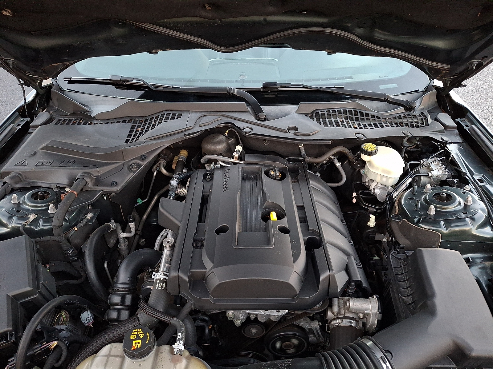 Used 2016 Ford Mustang Coupe