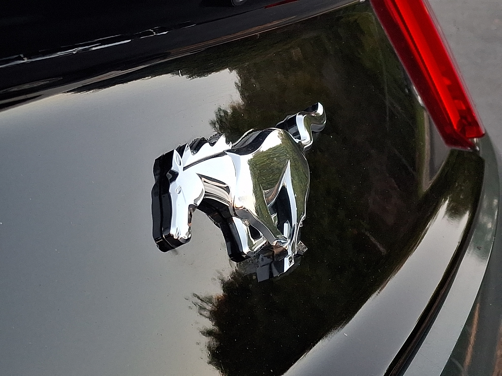 Used 2016 Ford Mustang Coupe