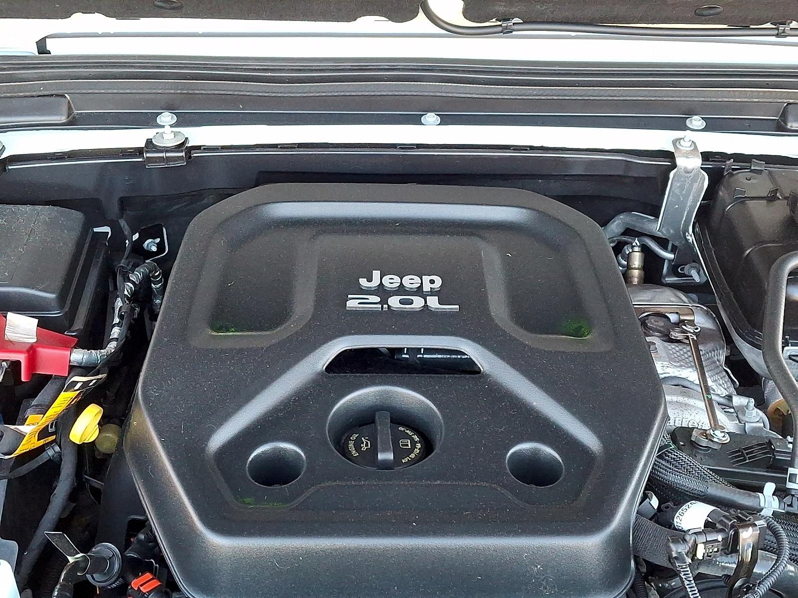 Used 2021 Jeep Wrangler SUV