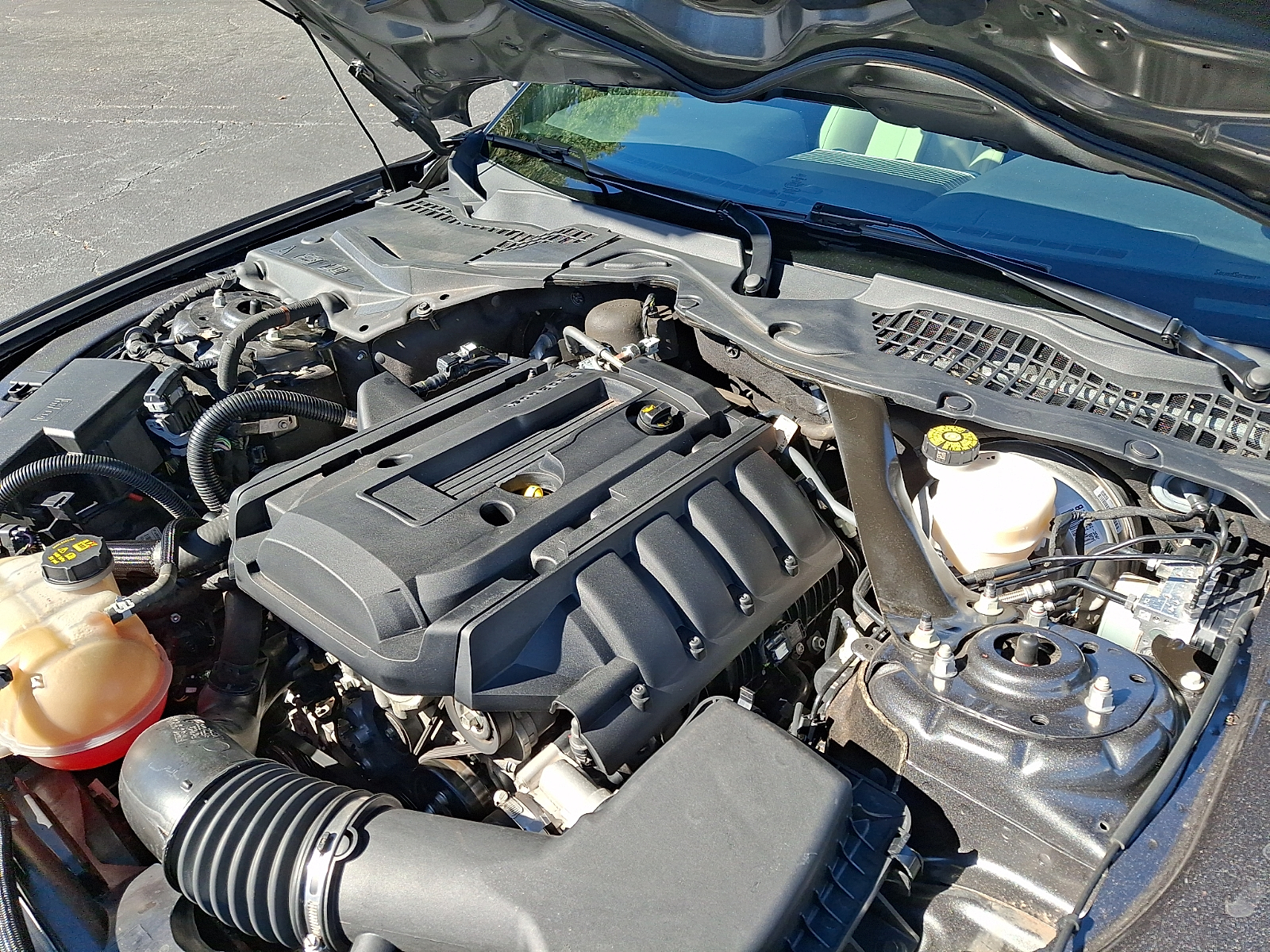 Used 2018 Ford Mustang Convertible