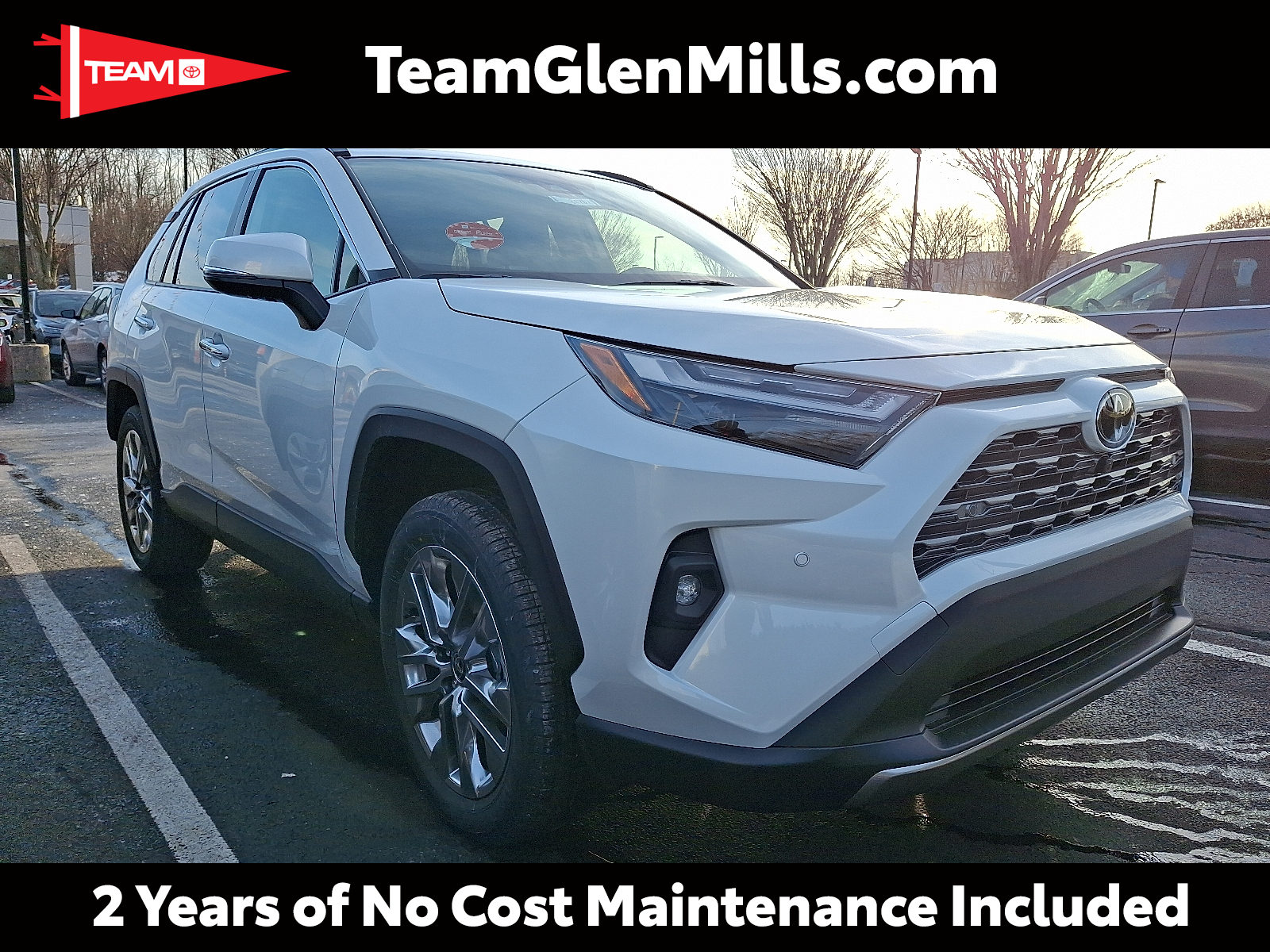 2025 Toyota RAV4 Limited's photo