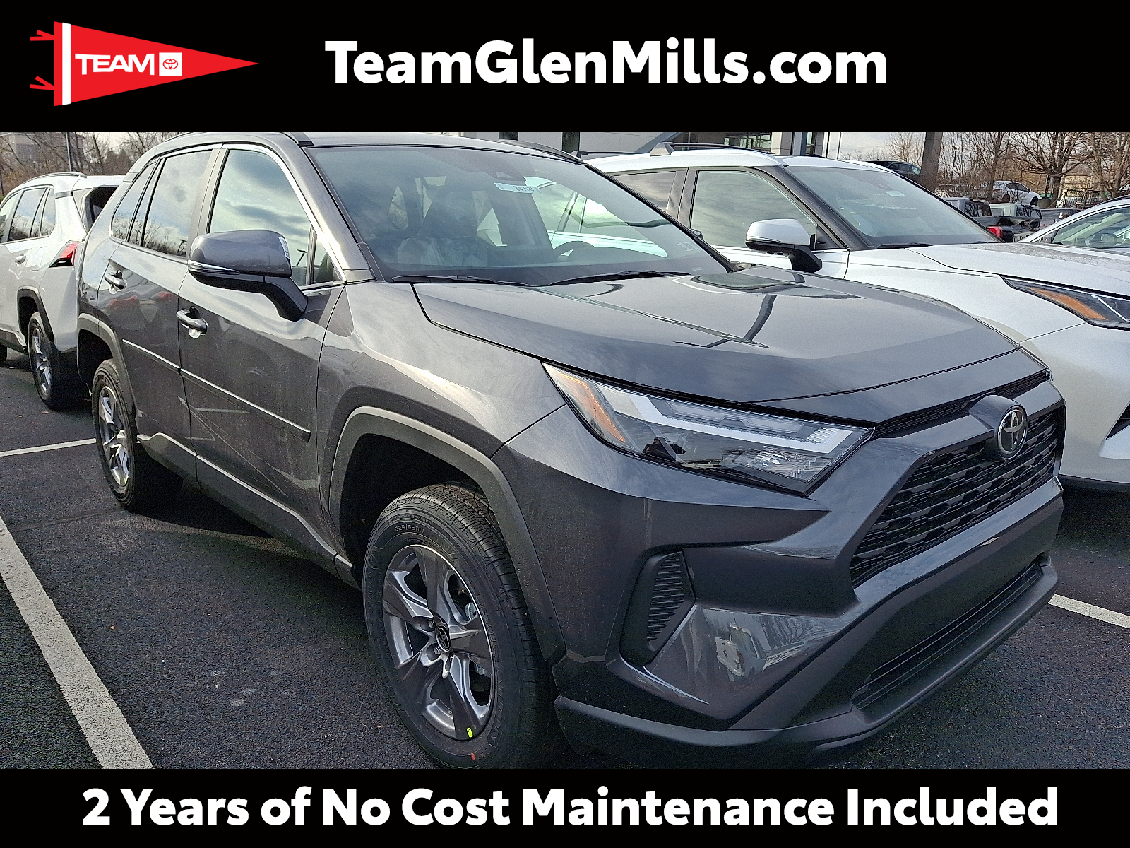 2025 Toyota RAV4 XLE's photo