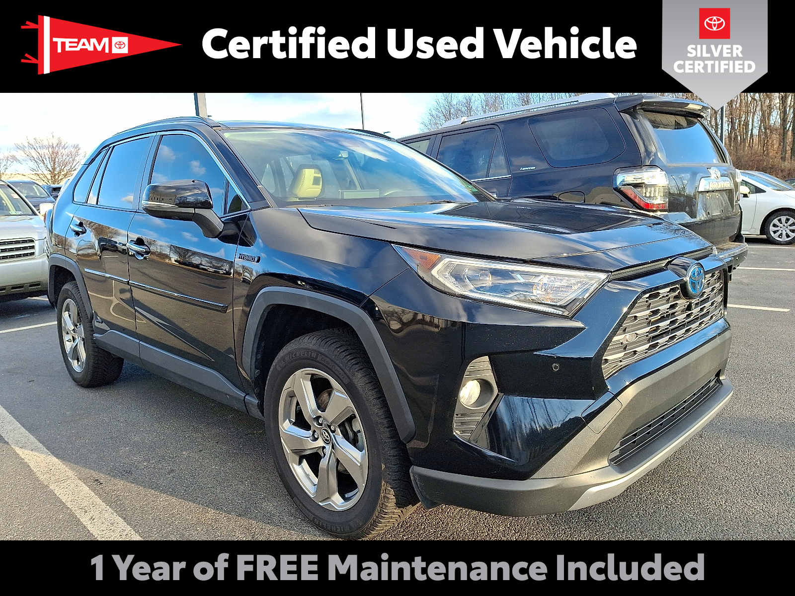 2019 Toyota RAV4 Limited's photo