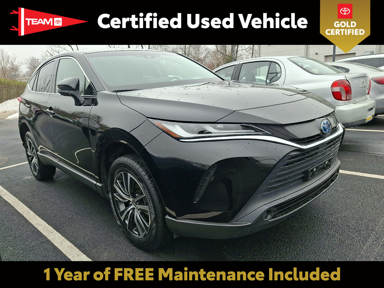 2023 Toyota Venza LE