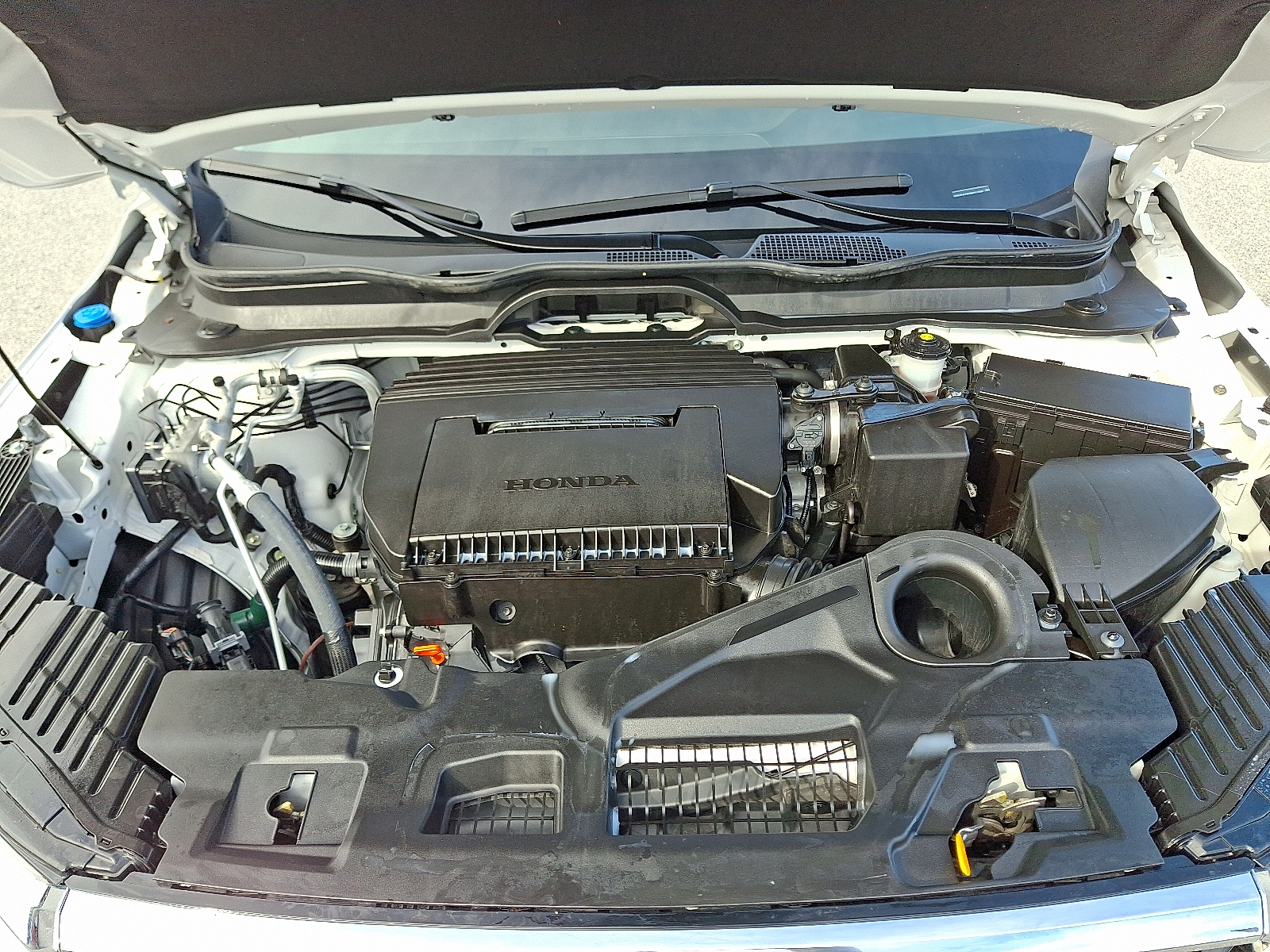 used 2024 Honda Pilot car, priced at $43,999